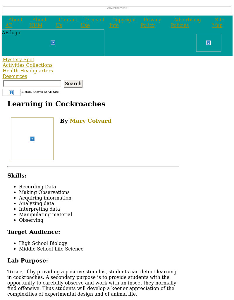 Learning in Cockroaches Lesson Plan