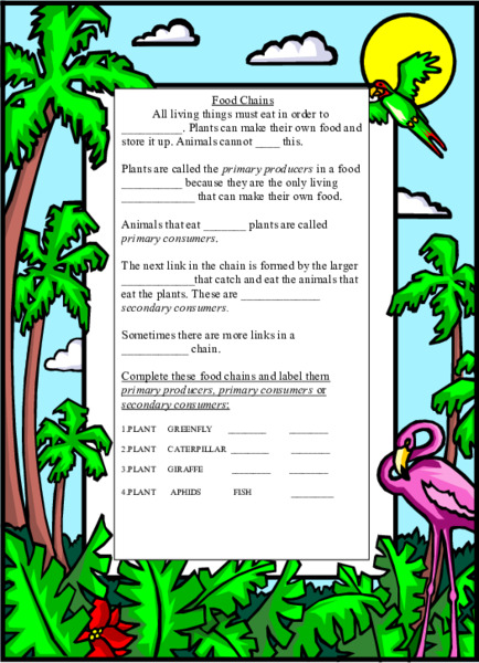 Food Chains Lesson Plan