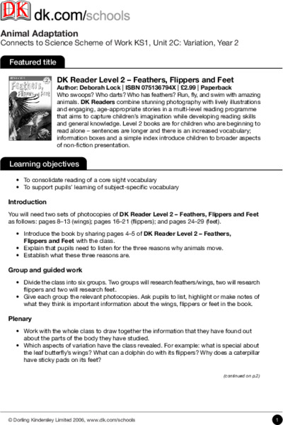 Feathers, Flippers and Feet Lesson Plan