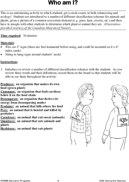 Who Am I? Lesson Plan
