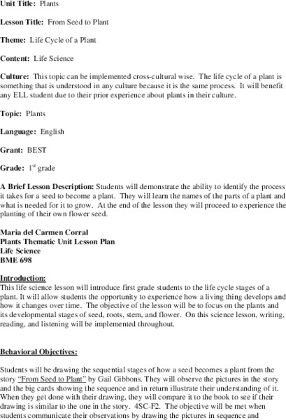 From Seed to Plant Lesson Plan