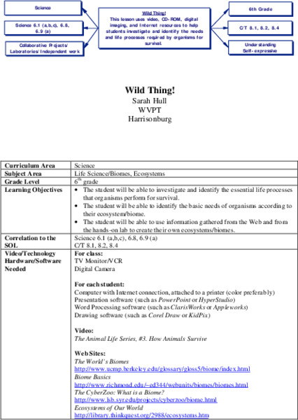 Wild Thing! Lesson Plan