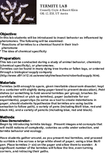 Termite Lab Lesson Plan