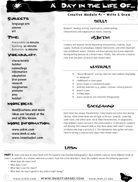 A Day in the life of... Lesson Plan