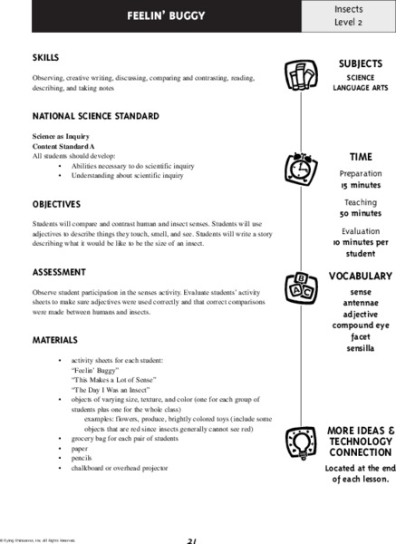 Feelin' Buggy Lesson Plan