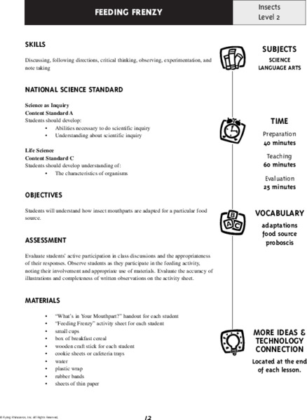 Feeding Frenzy Lesson Plan