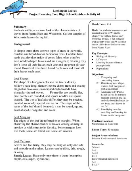 Looking At Leaves Lesson Plan