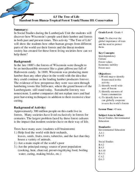 The Tree Of Life Lesson Plan