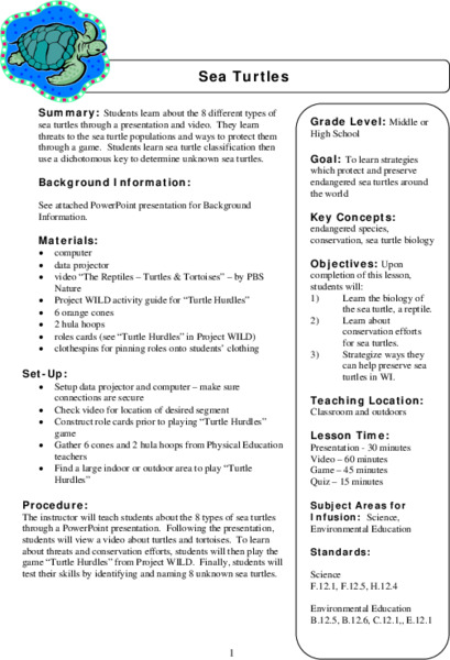Sea Turtles Lesson Plan