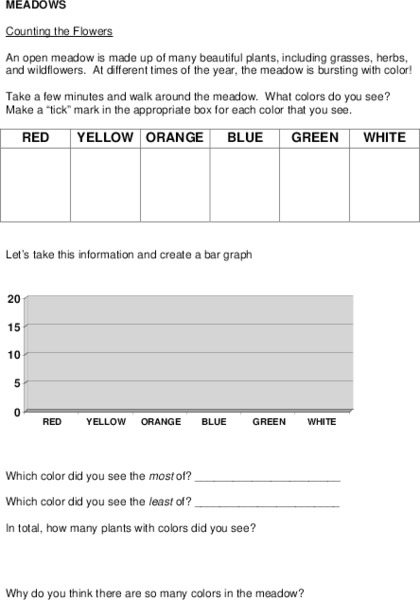 Meadows Observations Lesson Plan