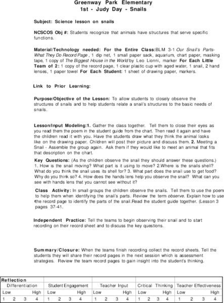 Snails Lesson Plan