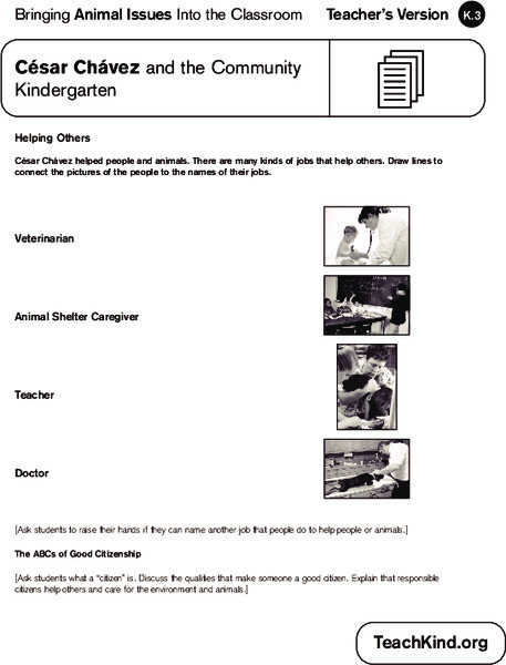Bringing Animal Issues Into the Classroom Worksheet