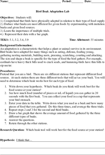 Bird Beak Adaptation Lab Lesson Plan