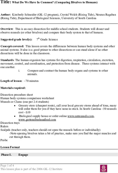 What Do We Have In Common? Lesson Plan