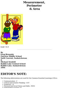 Measurement, Perimeter and Area Lesson Plan