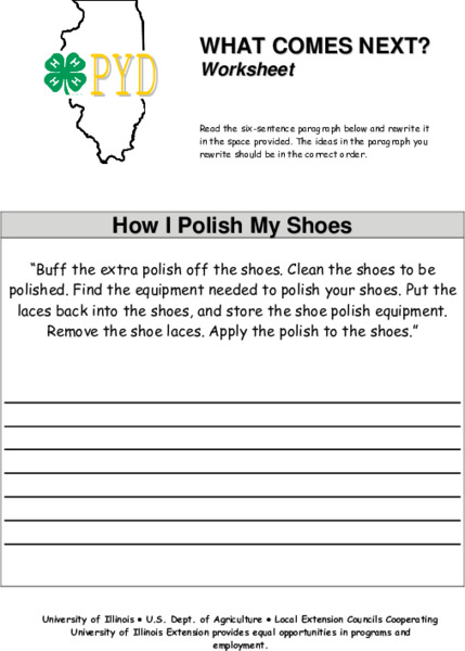 What Comes Next? Lesson Plan