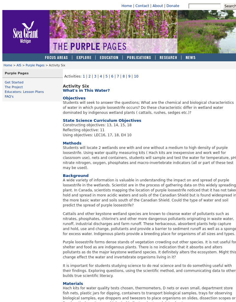 What's in This Water? Lesson Plan