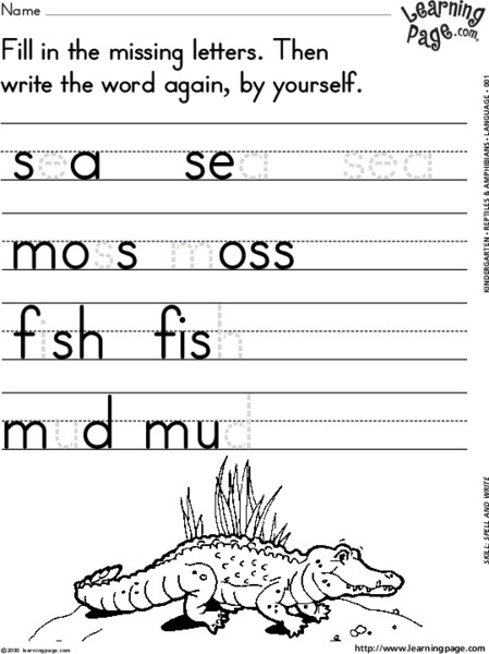 Missing Letters Lesson Plan