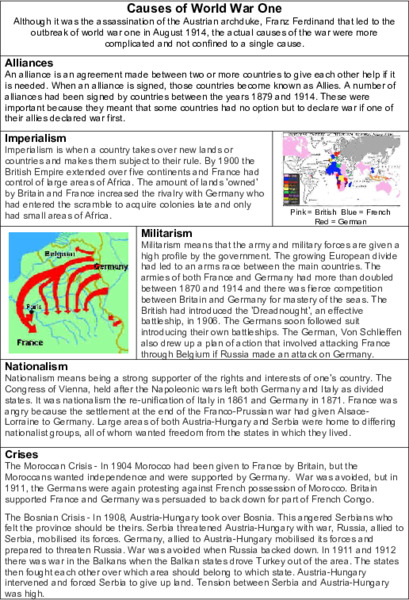 Causes of World War One Organizer