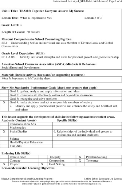 What Is Important to Me? Lesson Plan