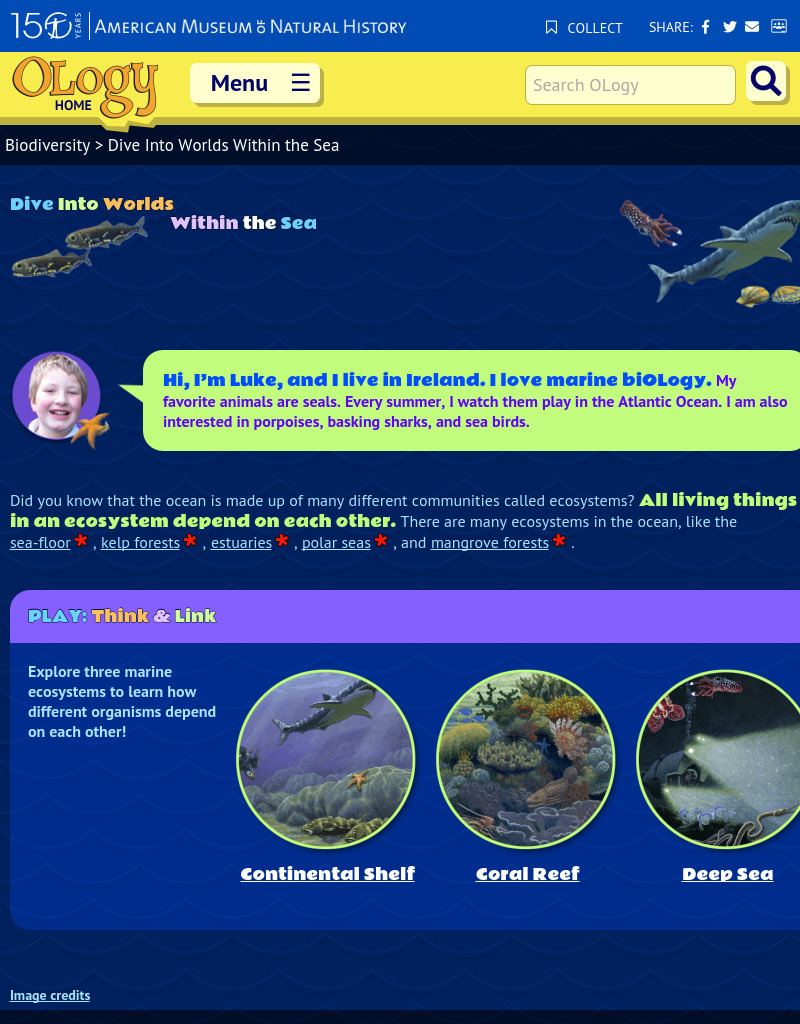 Dive Into Worlds Within the Sea Learning