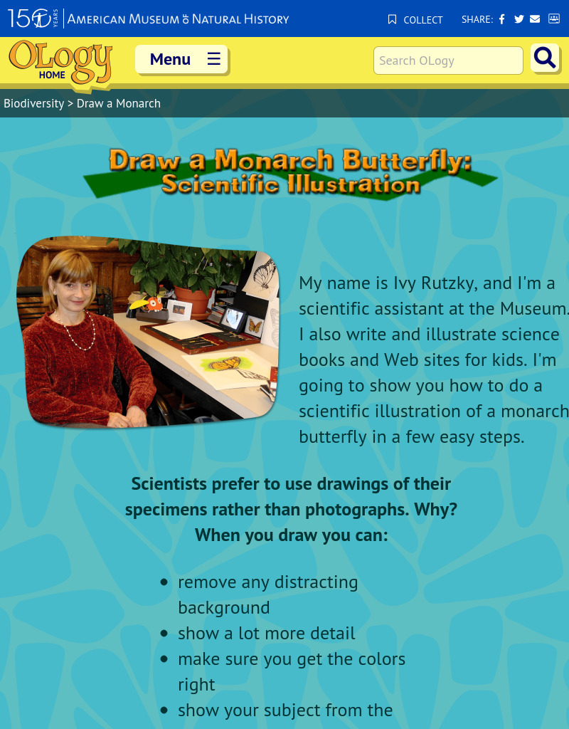 Draw a Monarch Butterfly: Scientific Illustrations Activity