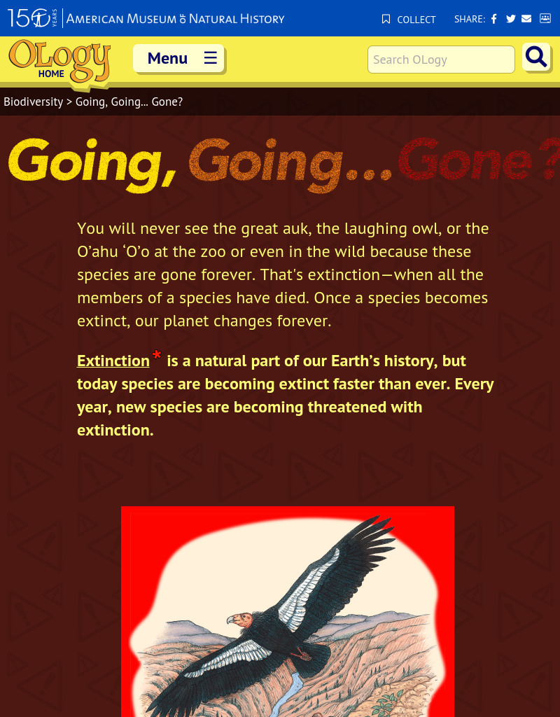 Going, Going...Gone? Website