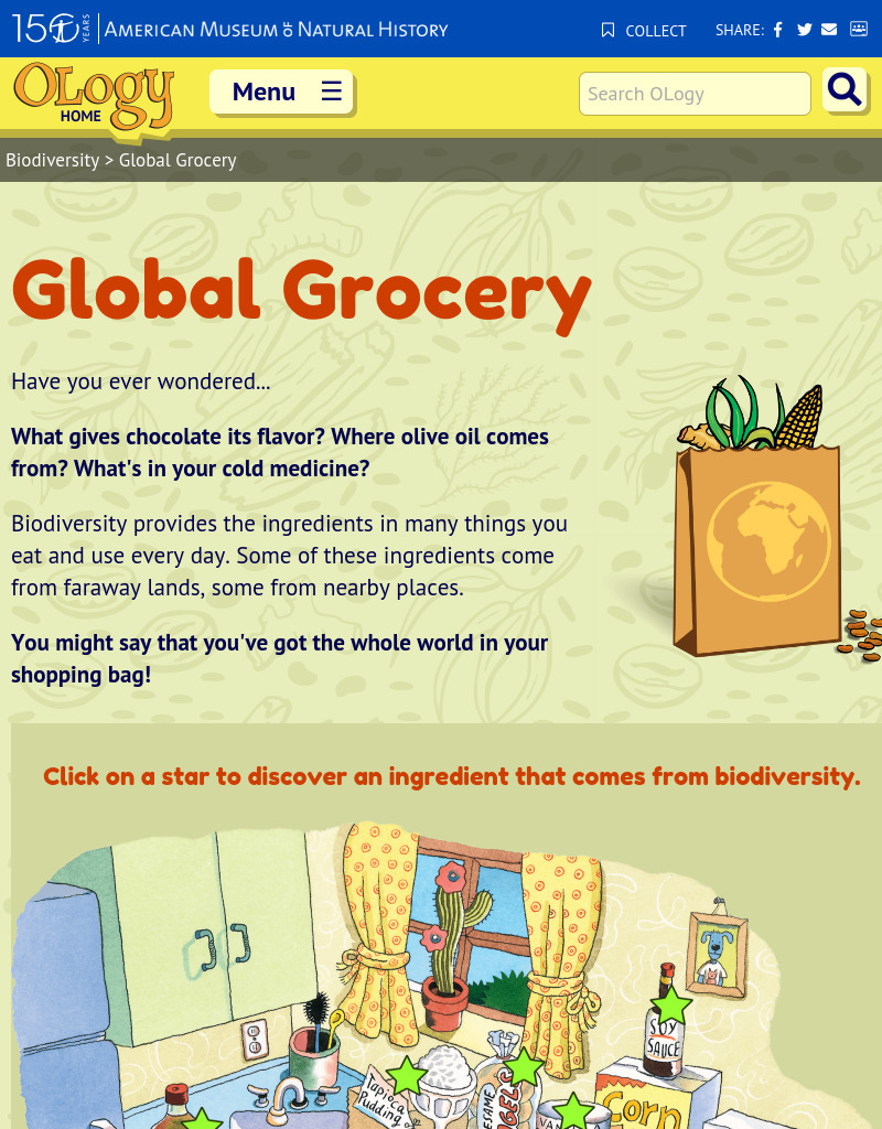 Global Grocery Interactive