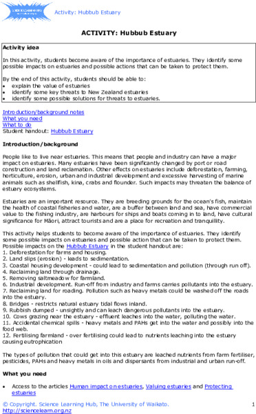 Hubbub Estuary Activity