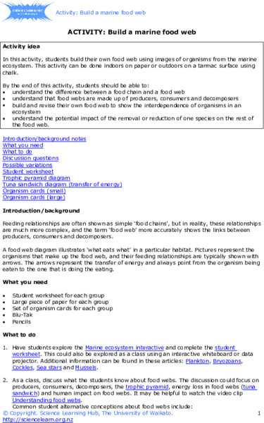Build a Marine Food Web Activity
