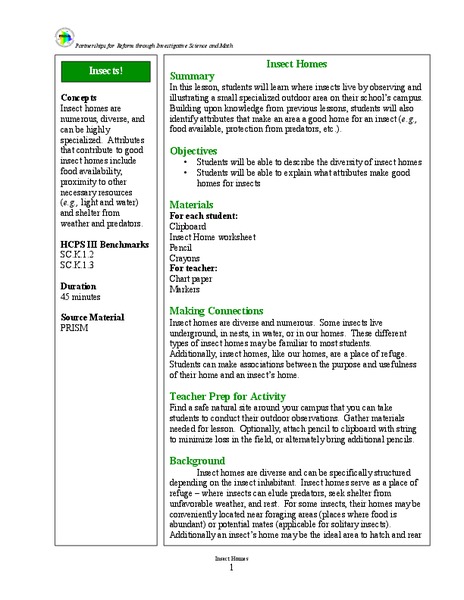 Insect Homes Lesson Plan