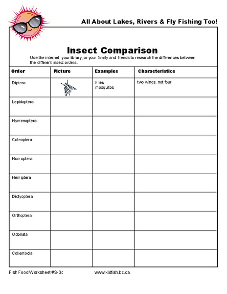Insect Comparison Organizer