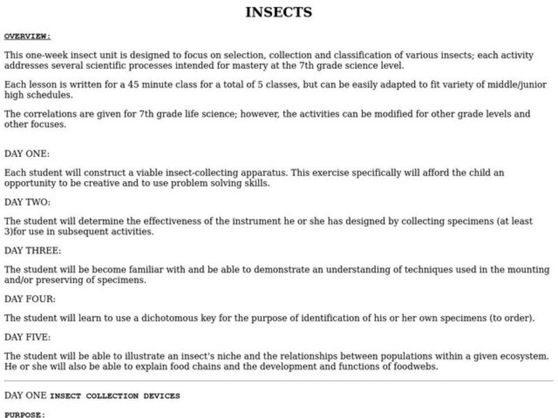INSECTS Lesson Plan