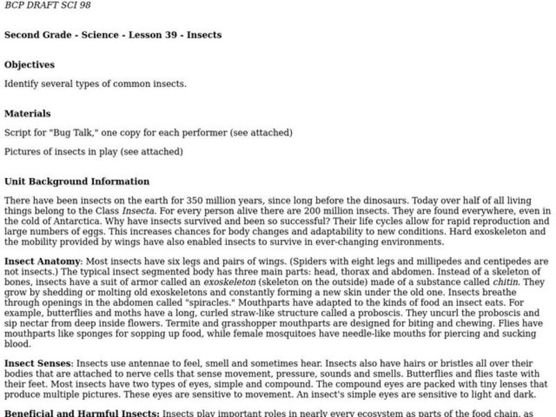 Insects Lesson Plan