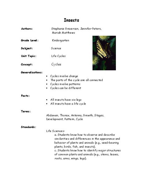 Insects Lesson Plan