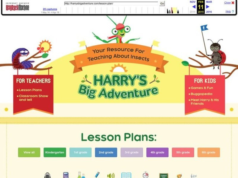 Insect Camouflage Lesson Plan