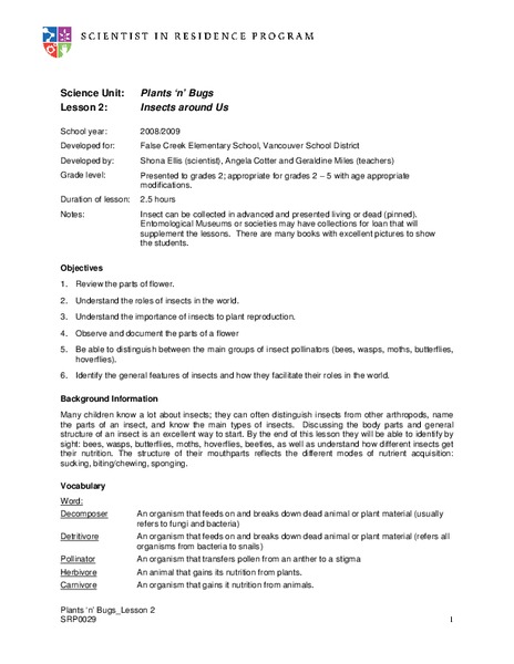 Insects Around Us Lesson Plan