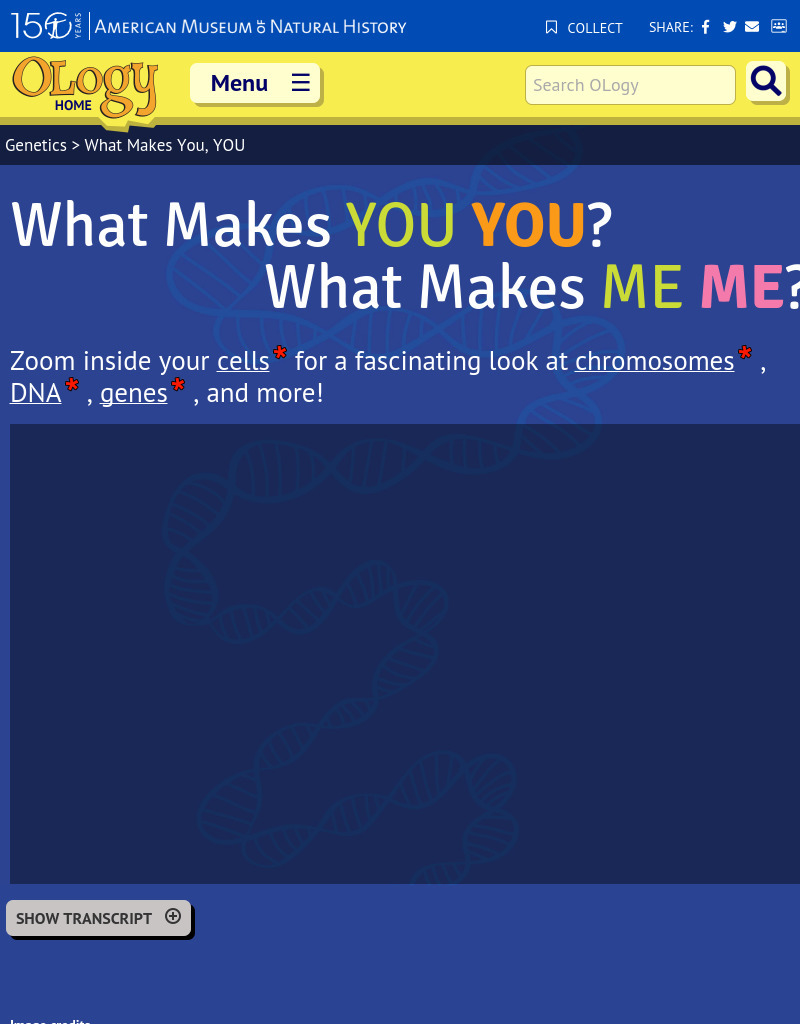 What Makes YOU YOU? What Makes ME ME? Instructional Video