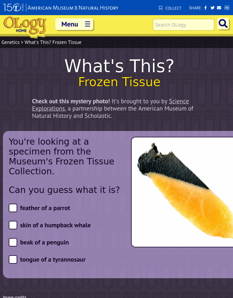 What's This? Frozen Tissue Interactive