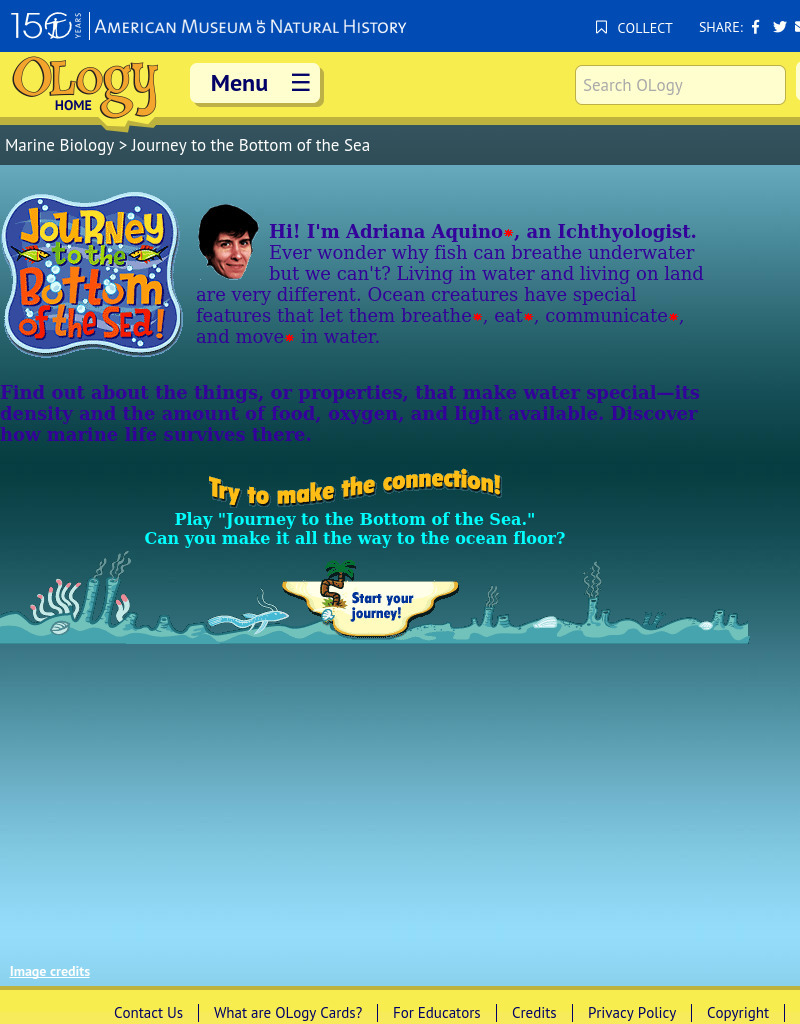 Journey to the Bottom of the Sea Interactive