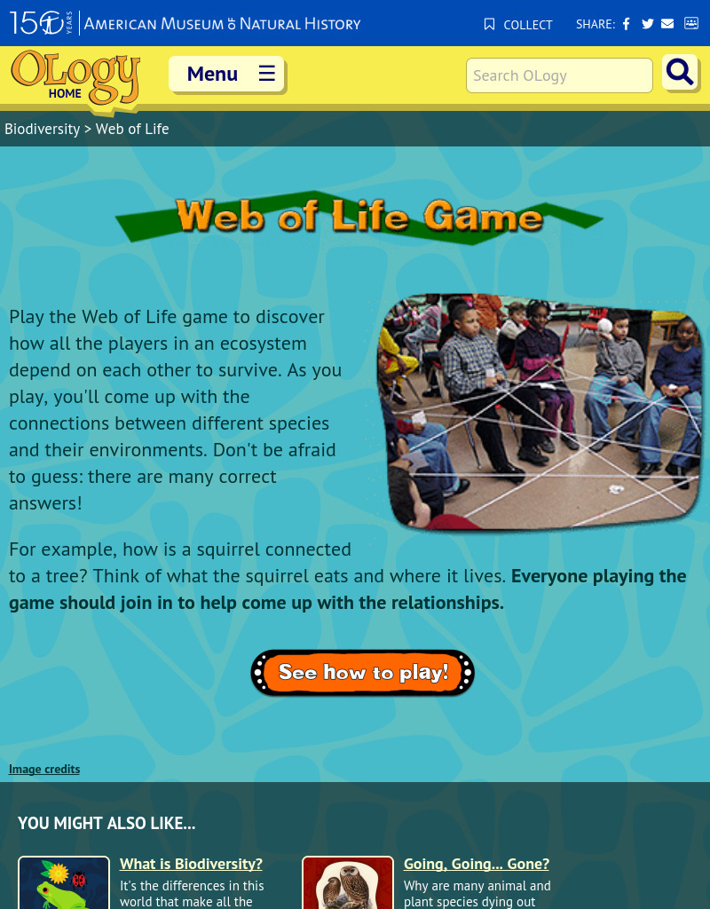 Web of Life Game Activity