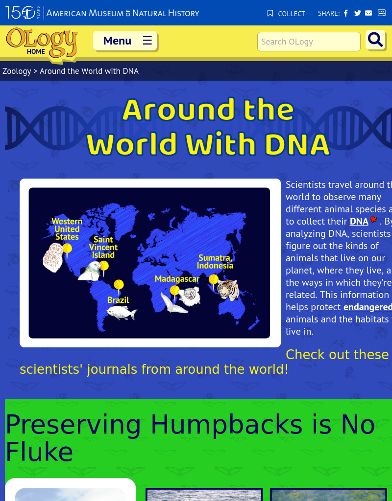 Around the World with DNA Website