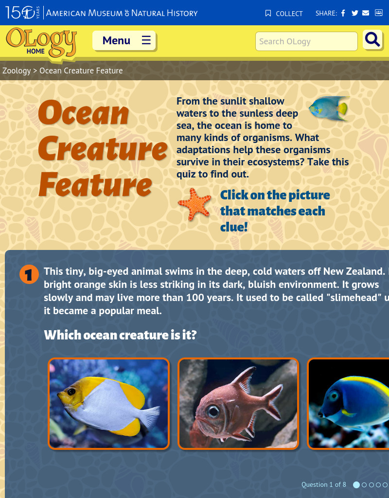 Ocean Creature Feature Interactive