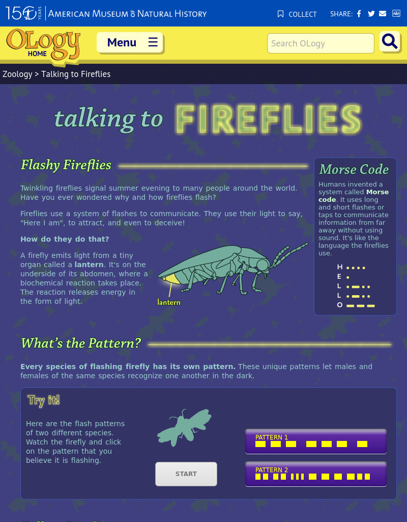 Talking to Fireflies Interactive