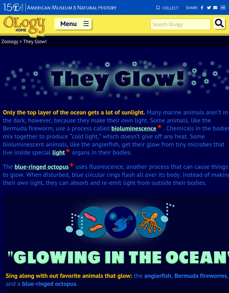 They Glow! Instructional Video