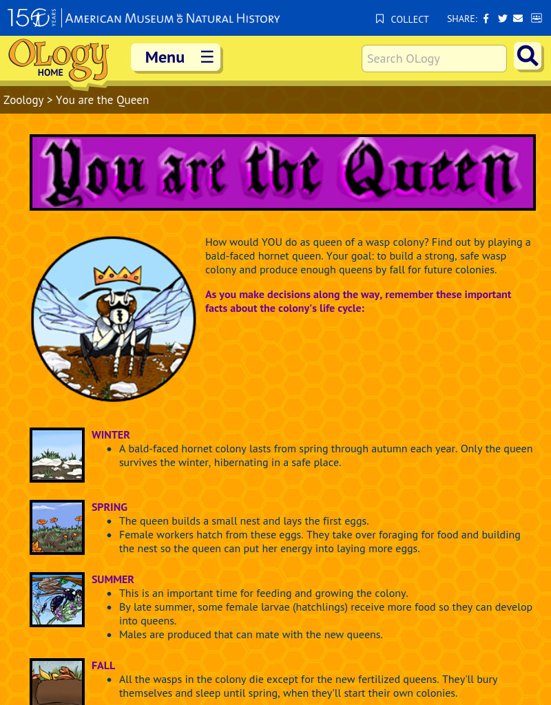 You are the Queen Interactive