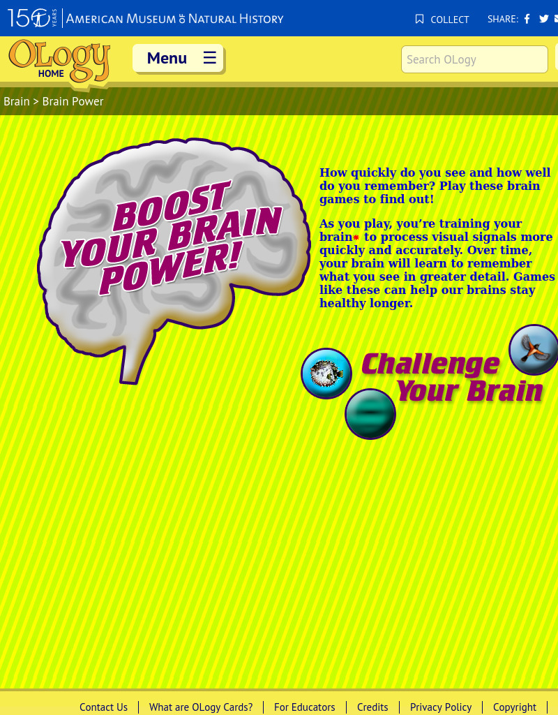 Brain Power Interactive