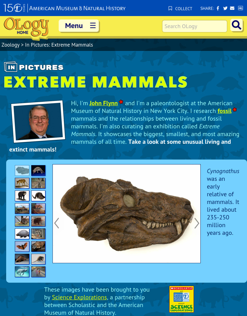 Extreme Mammals Interactive