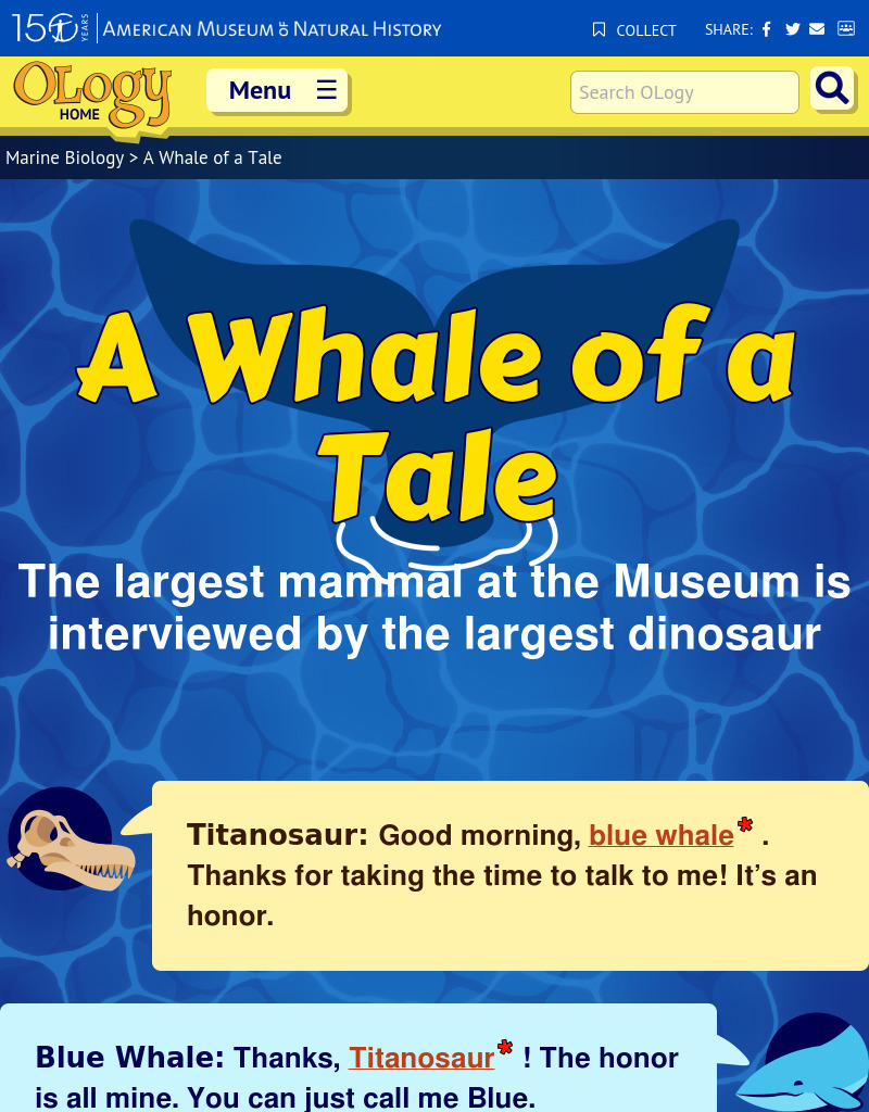 A Whale of a Tale Website