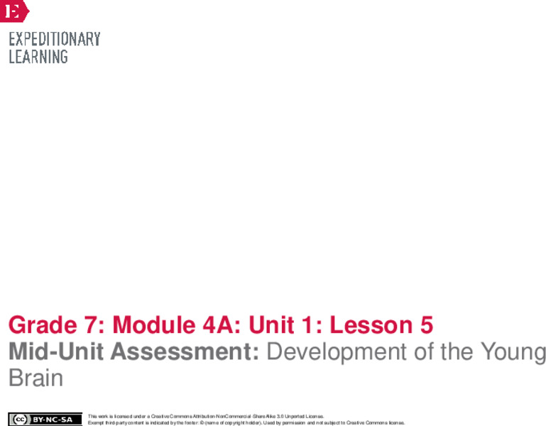 Mid-Unit Assessment: Development of the Young Brain Lesson Plan